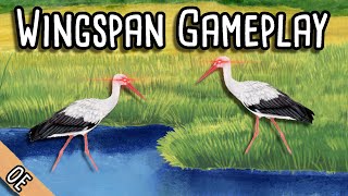 Wingspan Gameplay  Where does White Stork go best [upl. by Ttej]