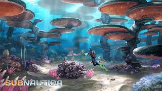 Subnautica  E52689v4  RTX3080 10G  32GB [upl. by Yarled577]