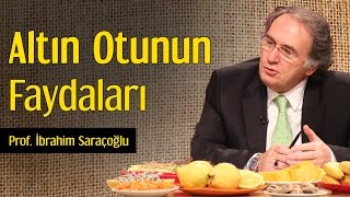 Altın Otunun Faydaları  Prof İbrahim Saraçoğlu [upl. by Shelah]