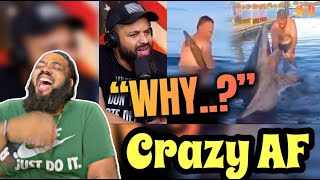 HODGETWINS  Guy Playing With A Shark Pays The Ultimate Price  REACTION TRY NOT TO LAUGH [upl. by Shurwood]