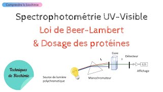 SPECTROPHOTOMÉTRIE UVVISIBLE  LOI DE BEERLAMBERT appliquée au DOSAGE DES PROTÉINES [upl. by Fernald992]