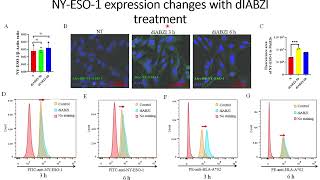 DiaBZl stimulates NYESO1 antigen expression on tumor cells Code 704 [upl. by Dnalyag]