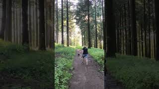 Kleine Gassirunde auf dem Schänzelberg bei Edenkoben [upl. by Millham]