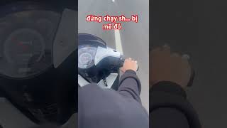 Sh Ý vẫn và Sh Việt mê xe nào hơn đây xemayngoc [upl. by Meehar445]