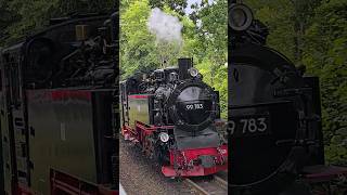 Der Rasender Roland von Rügen Die Rügensche Bäder Bahn Dampflok shorts Eisenbahn [upl. by Mishaan]