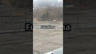 The Surprising Truth About Fukushimas Radioactive Zone [upl. by Stacia]