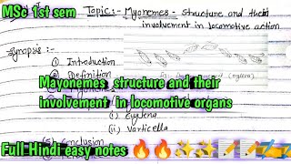 Mayonemes structure and their involvement in locomotive organs 🔥1st seminvertebratehindi Notes [upl. by Ocker]