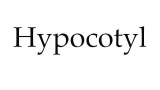 How to Pronounce Hypocotyl [upl. by Junius]