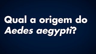 Qual a origem do Aedes aegypti [upl. by Derwin]