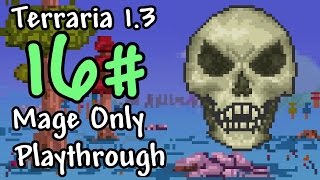 Expert Mode Terraria  Mage Only Skeletron  Episode 16 [upl. by Htyderem719]