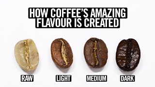 Coffee Roasting Explained [upl. by Yirinec]