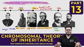 Mastering CHROMOSOMAL THEORY OF INHERITANCE  Principles of Inheritance and Variations  CLASS 13 [upl. by Aicilic173]