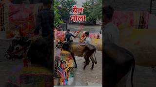 Itne sare beail 🐂 rally vlog ashortaday dailyvlog [upl. by Albertina266]