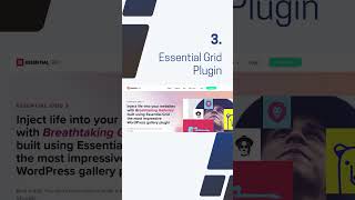 Top 5 Portfolio Plugins for WordPress [upl. by Rawde]