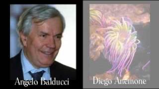 Angelo Balducci e Diego Anemone intercettati [upl. by Netti]