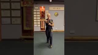 Uso correcto de la cadera en pelea wingchun box kickboxing taekwondo karate kungfu [upl. by Nura]