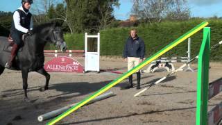 William Funnell  Young horses first introduction to fences  HorseandRider UK [upl. by Fauver473]