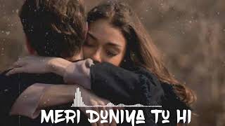 Meri Duniya Tu Hi  Hindi Heart Touching Songs 2024  Mind relax song  Latest Hindi Song 2024 [upl. by Kippy]