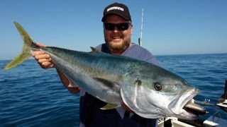 SOUTHERN YELLOWTAIL KINGFISH TOPWATER  YouFishTV part 2 [upl. by Randal]