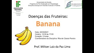 Vídeo Aula Pós Graduação em Fitopatologia Doenças em Fruteiras Banana [upl. by Ellenad]