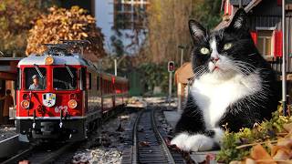 Gartenbahn Herbstimpressionen [upl. by Anneirda92]