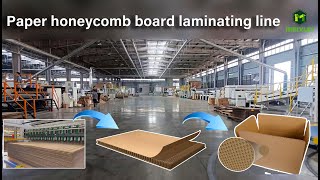 What is honeycomb box？How to manufacture paper honeycomb carton honeycomb machines in the factory [upl. by Egiaf603]