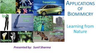 Lec2  Applications of biomimicry [upl. by Lahsram]