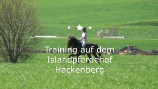 Islandpferde Training [upl. by Yahsed]