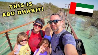 ABU DHABI MANGROVE PARK AND BOARDWALK What to expect when exploring the Jubail Island Mangrove Park [upl. by Anahc]