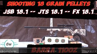 Barra 1100z PCP 22 Caliber Shooting 18 Grain Pellets JSB JTS and FX [upl. by Lambart]