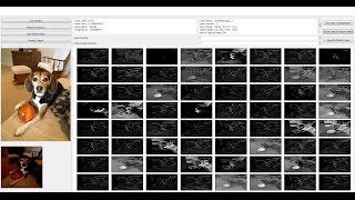 Intermediate convolution layer visualizationVGG16 [upl. by Tnaryb637]