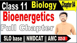 Bioenergetics  Biology  class 11 chapter 04 pakistanwalla [upl. by Nosduj994]