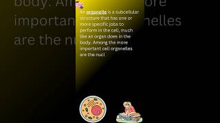 Organelles and their functions organelles functions biology definition youtubeshorts science [upl. by Llennehc]