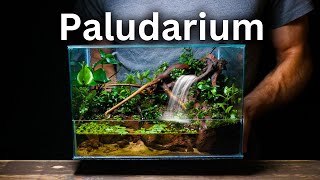 I Made a Paludarium With a Working Waterfall Here’s How [upl. by Lynett]