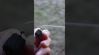 How To Tie a Zig Rig everythingcarpfishing carpbasics carpfishing shorts carpy zigrig [upl. by Kaenel]