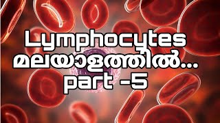 Lymphocytes Malayalampart5 [upl. by Riggs]