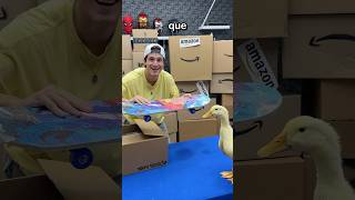 Le Compre 100 Productos De Amazon A Mis Patos😱😂 [upl. by Tahpos175]