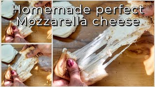 homemade perfect Mozzarella cheese recipe 😋 Ghar per Aasan tarike se banaen Anitakirecipes [upl. by Ttehc]