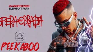 Sfera Ebbasta  Visiera A Becco peekaboo RMX [upl. by Dnomde]