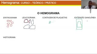 CURSO DE INTERPRETAÇÃO DE HEMOGRAMA  PARTE 01 ERITROGRAMA [upl. by Nilkoorb]