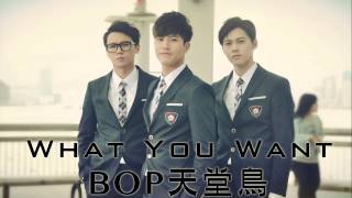 BOP天堂鳥  What You Want Official Audio [upl. by Fairfield652]