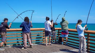 My Addiction To Chaos Florida Pier Catch Clean amp Cook [upl. by Oiluj]