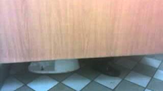 Dude blows up the toilet next to me at fastfood [upl. by Marin360]