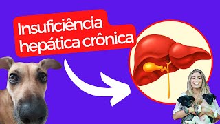 Insuficiência hepática crônica causas sinais clínicos diagnóstico e tratamento [upl. by Thursby]