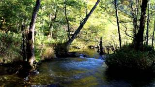 Kamikochi Hiking along Azusa River [upl. by Elrahc]