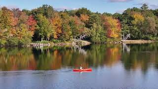 Fall Foliage Captured in Stunning Drone Footage [upl. by Borrell]