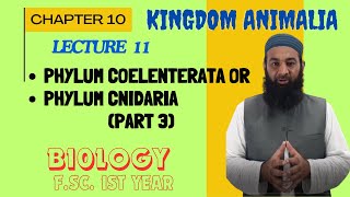 Phylum CoelenterataCnidaria Part 3 I Chapter 10 I FSc I First Year I biology I Lec 09 [upl. by Erny]