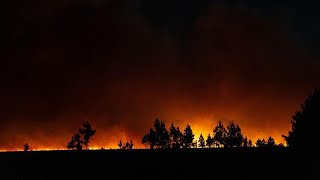 Argentina  Un incendio forestal devasta 800000 hectáreas en la provincia de Corrientes [upl. by Elokyn]