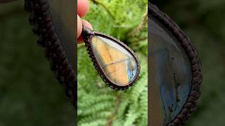 ラブラドライトペンダント  Labradorite Pendant labradorite gemstone ラブラドライト short [upl. by Brown811]