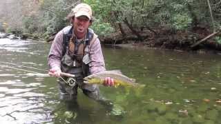 Fly Fishing for Large Brown Trout in the Smokies in the Fall [upl. by Hayimas904]